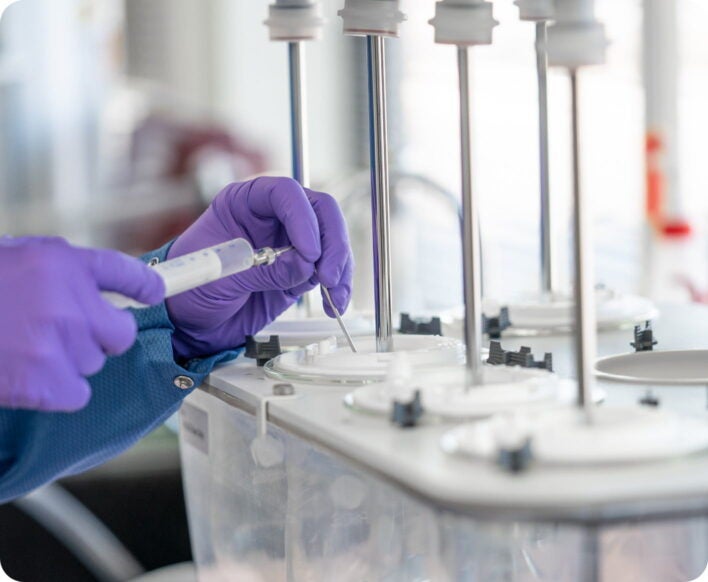 Working in the lab