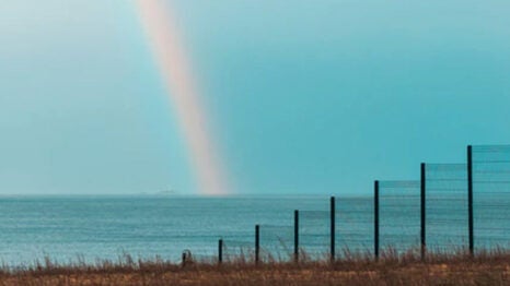 Rainbow over a body of water