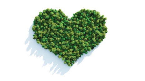 Group of trees in the shape of a heart