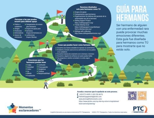 Momentos de Claridad - Apoyo Para Hermanos - Guia Para Hermanos