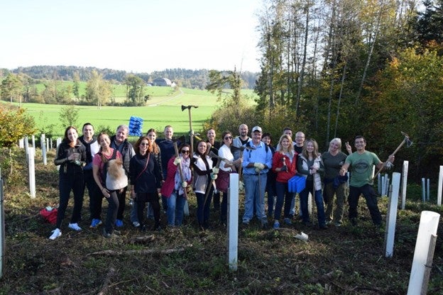 The Green Team planting trees