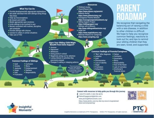 Insightful Moments - Sibling Support - Parent Roadmap