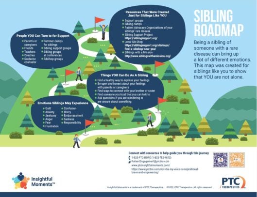 Insightful Moments - Sibling Support - Sibling Roadmap