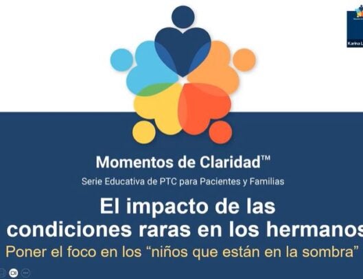 Momentos de Claridad - Apoyo para hermanos - grabación del webinario