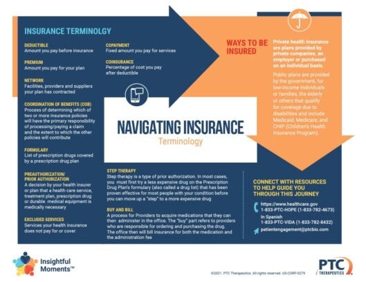Insightful Moments - Navigating Insurance - Insurance Terminology