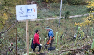 PTC colleagues planting trees and smiling at each other