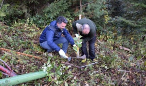 PTC colleagues planting a tree