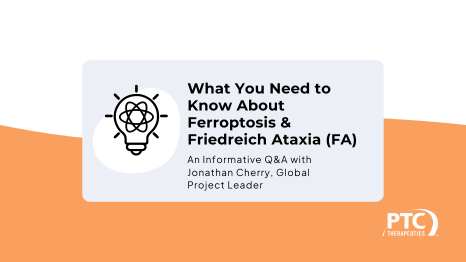 Ferroptosis Q & A
