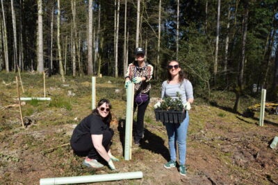 PTC Therapeutics Team Planting Trees